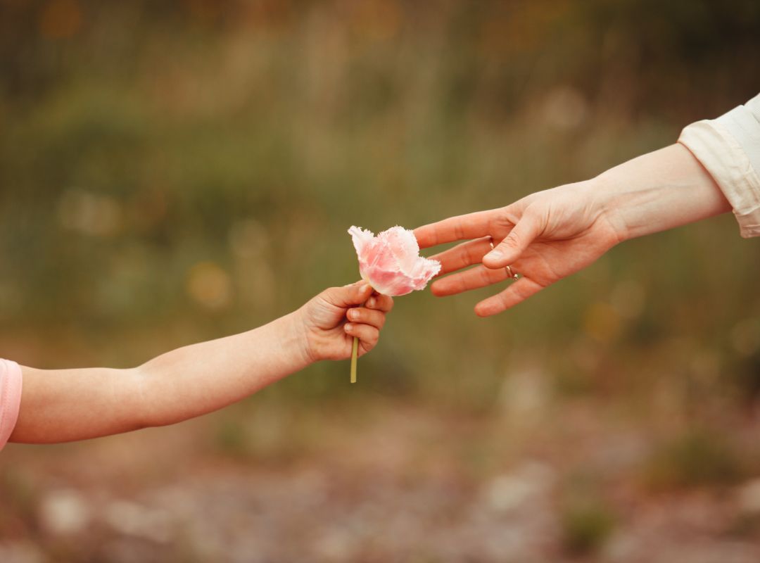 There is a kid handing an adult a pink flower outside.