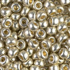 Duracoat Galvanized Silver 6/0 seed beads || RR6-4201 - Mack & Rex