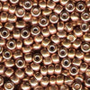 Galvanized Gold 6/0 seed beads || RR6-0182 - Mack & Rex