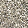 Galvanized Silver  10/0 Delica || DBM-0035 ||  Delica Seed Beads - Mack & Rex