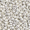 Matte Bright Sterling Plated 8/0 seed beads || RR8-0961F - Mack & Rex