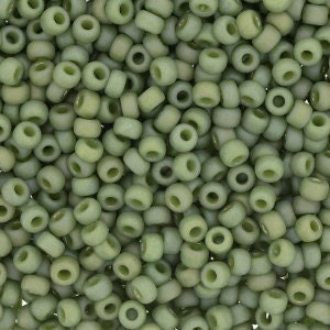 Opaque Matte Glazed Fern Rainbow 8/0 seed beads || RR8-4698 - Mack & Rex