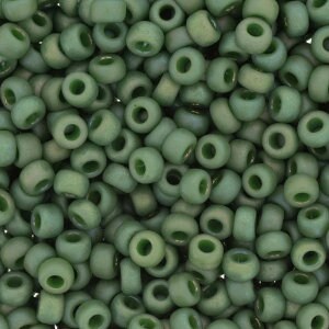 Opaque Matte Glazed Parakeet Green Rainbow 6/0 seed beads || RR6-4700 - Mack & Rex