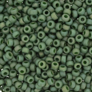 Opaque Matte Glazed Parakeet Green Rainbow 8/0 seed beads || RR8-4700 - Mack & Rex