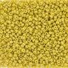Opaque Matte Glazed Pineapple Crush Rainbow 15/0 seed beads || RR15-4692 - Mack & Rex