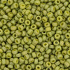 Opaque Matte Glazed Sprout Rainbow 8/0 seed beads || RR8-4697 - Mack & Rex