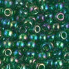 Transparent Green AB 6/0 seed beads || RR6-0179 - Mack & Rex
