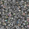 Vitrail Matte 8/0 seed beads || RR8-4557 - Mack & Rex